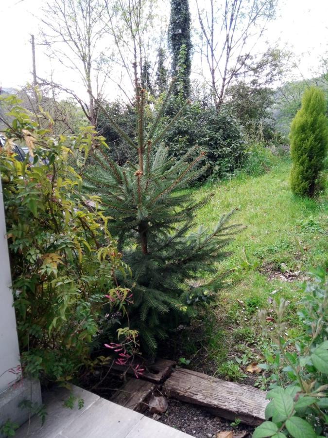 El Rinconin De Degu Villa San Juan de Parres Kültér fotó